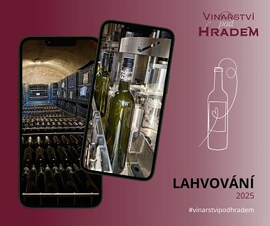 Nová vína jsou na světě! Lahvovali jsme pro vás ročníky 2023 a 2024